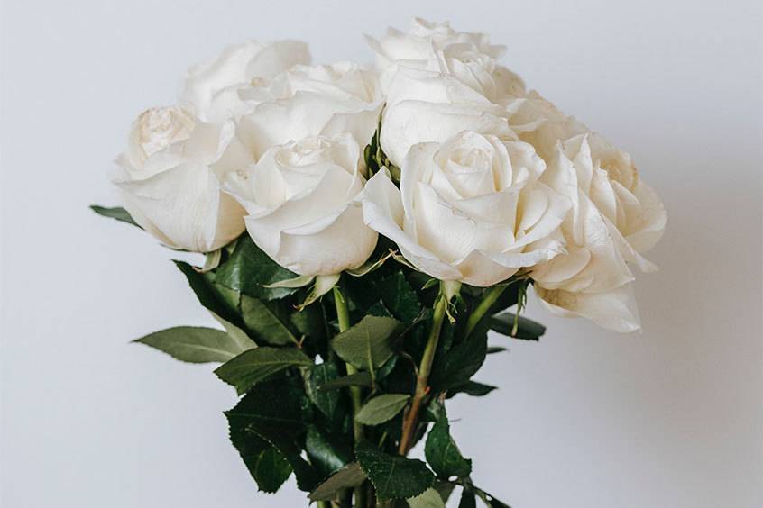 roses symbolism